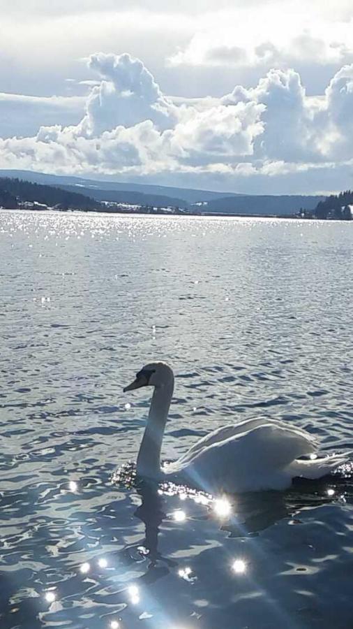 L'Ecrin Du Lac Saint-Point-Lac Luaran gambar